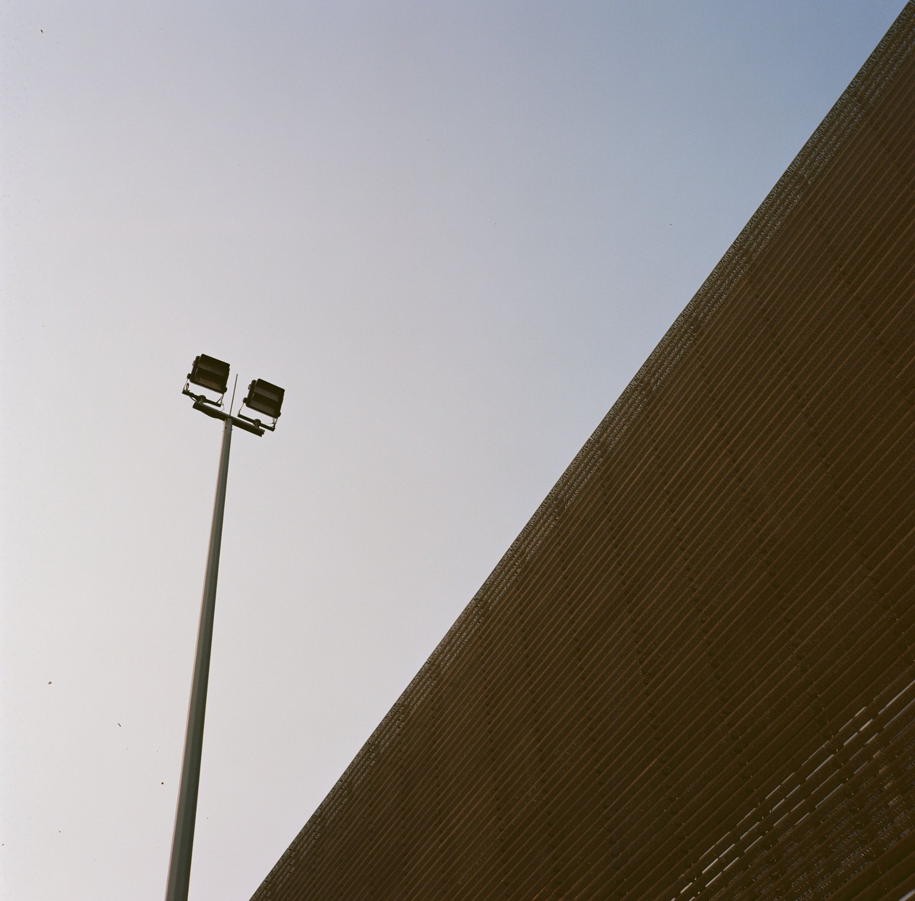 Still photograph