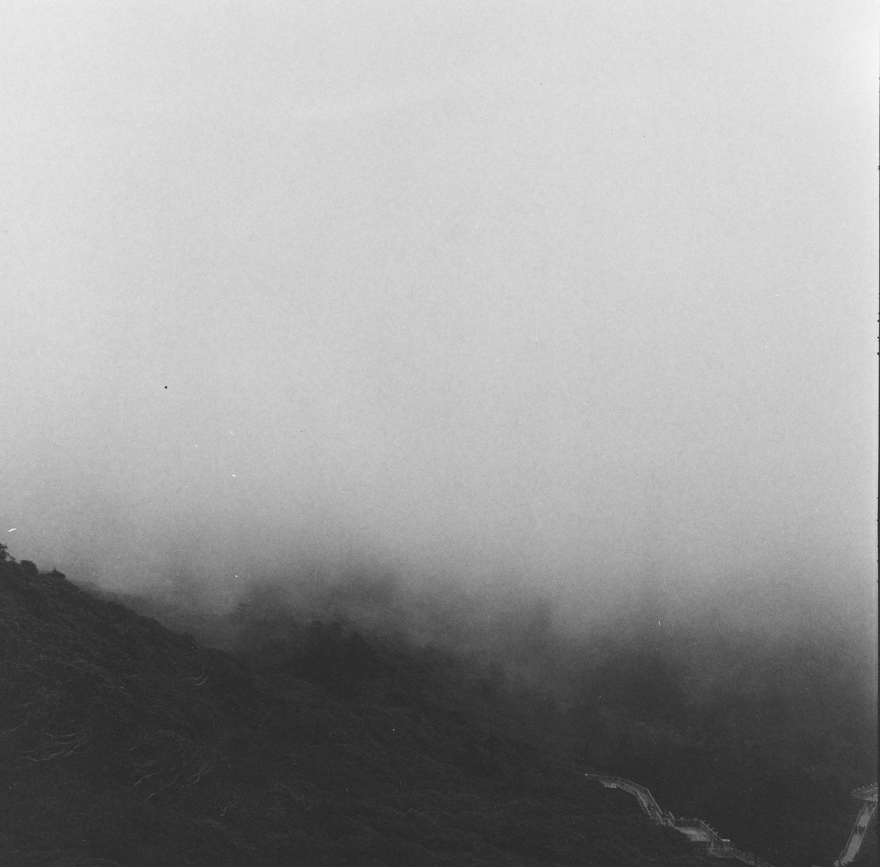 Still photograph